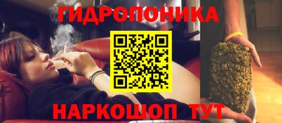 бошки Аргун