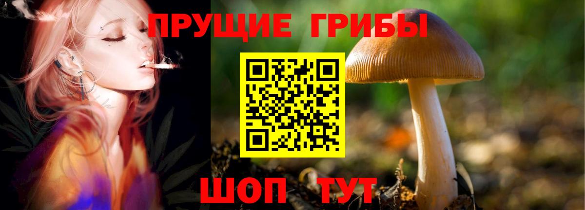 Псилоцибиновые грибы мухоморы Белово